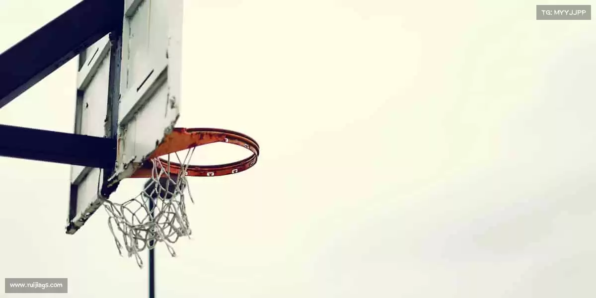 我们的品牌价值